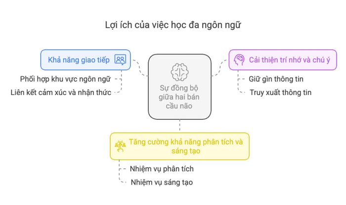 Lợi ích từ việc học nhiều ngôn ngữ