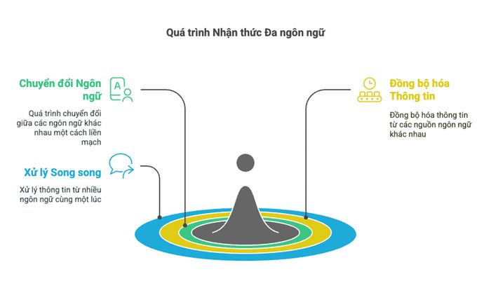 Quá trình nhận thức khi sử dụng nhiều ngôn ngữ