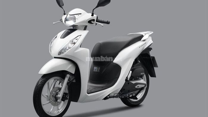 Honda Vision bản Tiêu chuẩn chỉ có một lựa chọn màu trắng đơn giản.