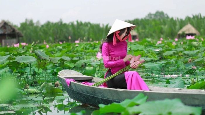 Giải mã chi tiết những giấc mơ thấy hoa sen