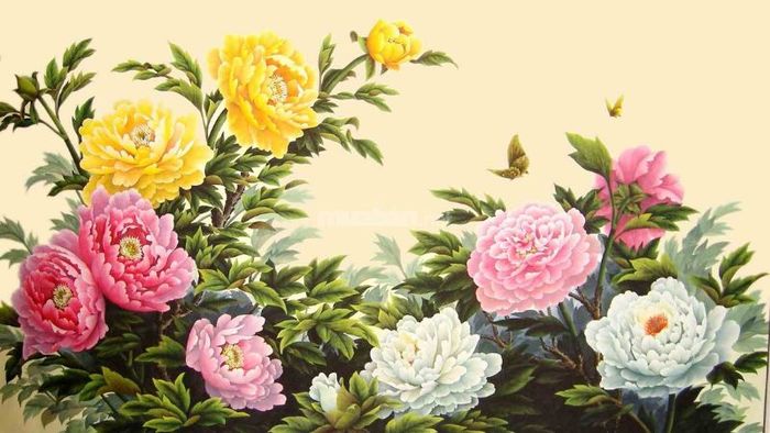 Hoa mẫu đơn, hoa hướng dương