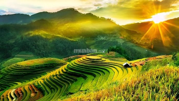 Tranh mặt trời mọc