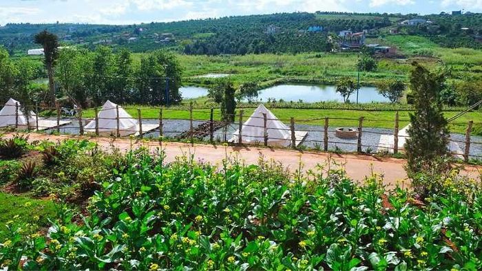 Dự án đất vườn sinh thái đang nhận được nhiều sự quan tâm nhờ không gian sống xanh và tiềm năng sinh lời lớn.