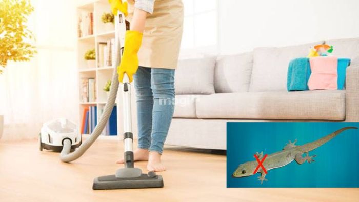 Giữ không gian nhà cửa sạch sẽ để ngăn ngừa sự xuất hiện của thằn lằn