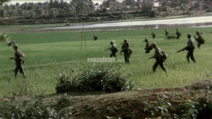 Mơ thấy chiến tranh nổ ra tại chính quê nhà