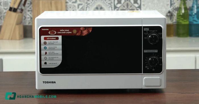 lo-vi-song-toshiba-er-sm20-w1-vn-15
