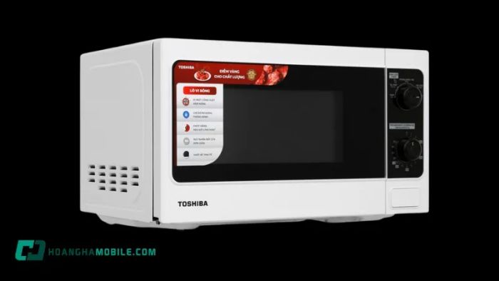 lo-vi-song-toshiba-er-sm20-w1-vn-8