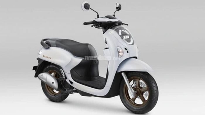 Cập nhật bảng giá xe Scoopy 2025 mới nhất trong năm 2025