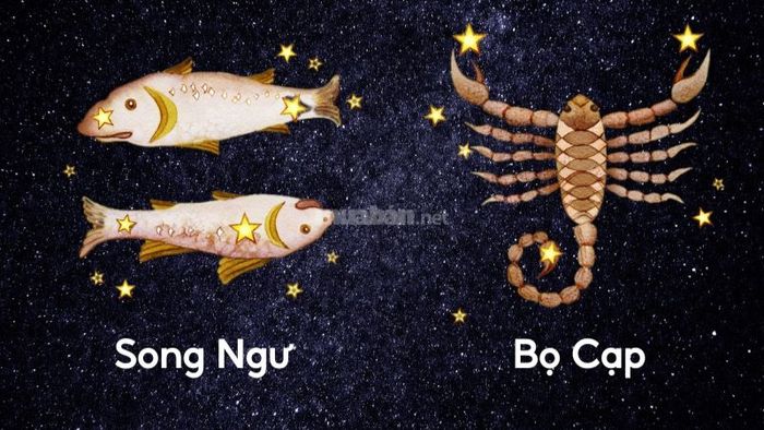 Bọ Cạp và Song Ngư – Cặp đôi đầy lãng mạn và hòa hợp tâm hồn
