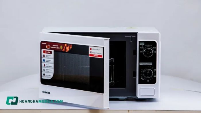 lo-vi-song-toshiba-er-sm20-w1-vn-1