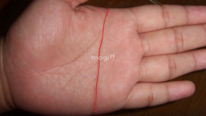 Đường chỉ tay hình chữ Nhất nằm trong danh sách những đường chỉ tay hiếm gặp nhất