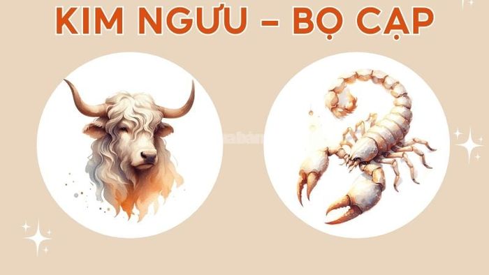 Bọ Cạp và Kim Ngưu