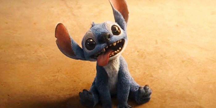 Ai đã sẵn sàng để lại trái tim cho Stitch một lần nữa nào?