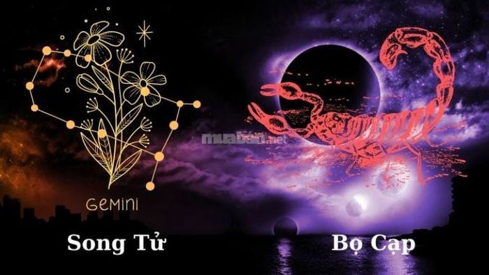 Bọ Cạp và Song Tử – Mâu thuẫn trong cách giao tiếp