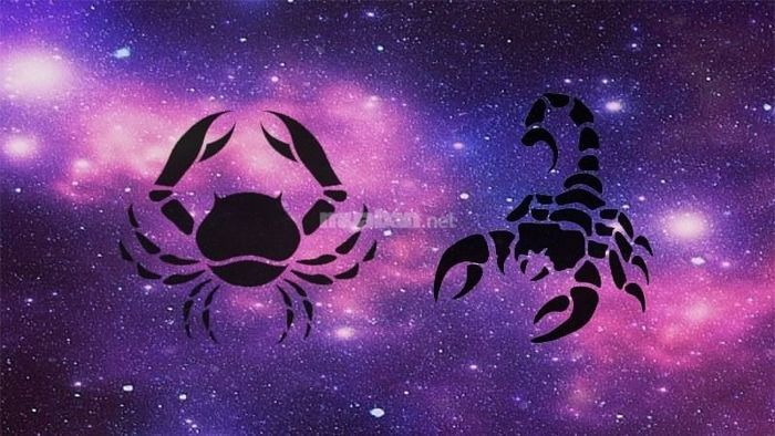 Bọ Cạp và Cự Giải – Cặp đôi hòa hợp tâm đầu ý hợp