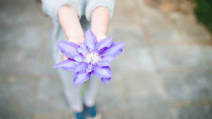 Chòm sao coi trọng lòng biết ơn 2