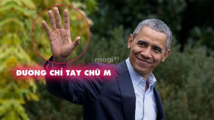 Đường chỉ tay hình chữ M – Một trong những đường chỉ tay hiếm gặp nhất trên thế giới