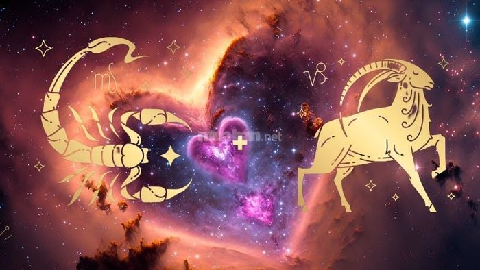 Bọ Cạp và Ma Kết – Cặp đôi quyền lực