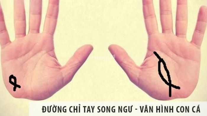 Đường chỉ tay Song Ngư – Một trong 5 đường chỉ tay hiếm gặp khó tìm.