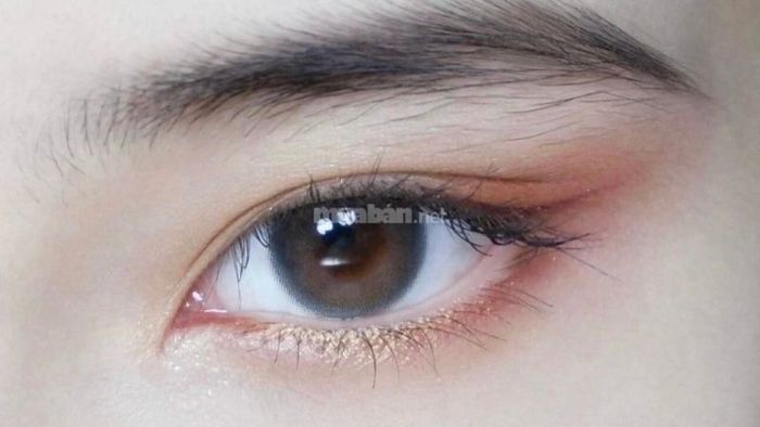 Mắt rồng là một đặc điểm tướng số đặc biệt. Hãy cùng khám phá cách nhận diện mắt rồng để hiểu thêm về những đặc điểm riêng biệt của dáng mắt này.