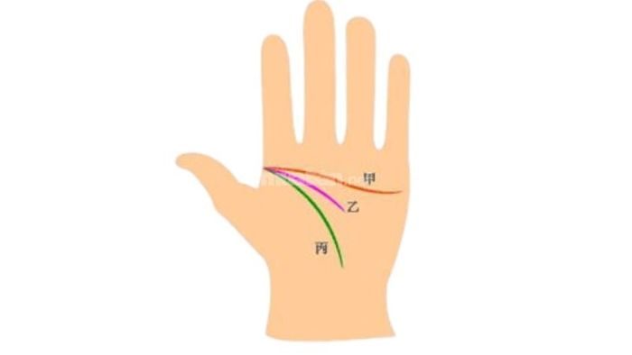 Chỉ tay 3 đường dính nhau là gì?