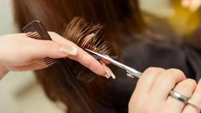 Nên tránh cắt tóc vào đầu tuần, đầu tháng