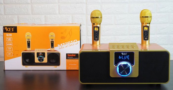 loa-karaoke-bluetooth