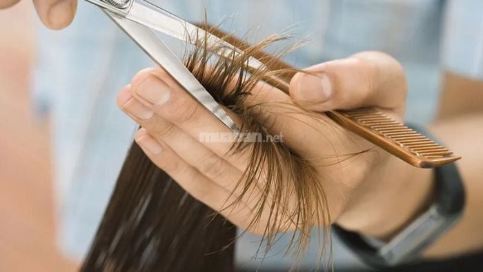 Khi đang ốm, bạn không nên cắt tóc