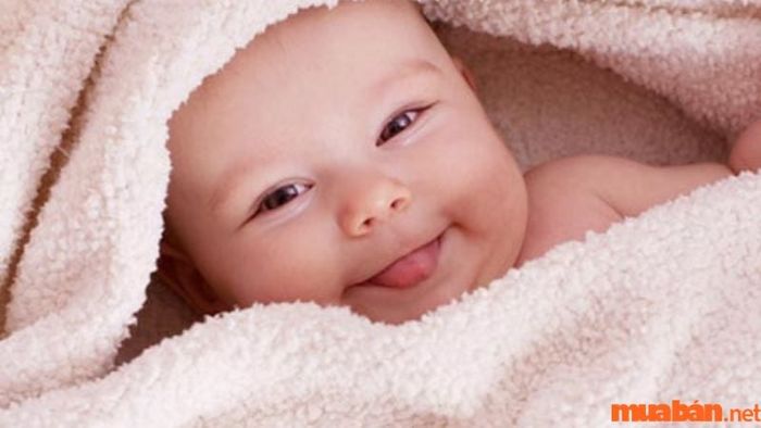 Em bé sinh năm 2016 thuộc mệnh gì, tuổi con gì?