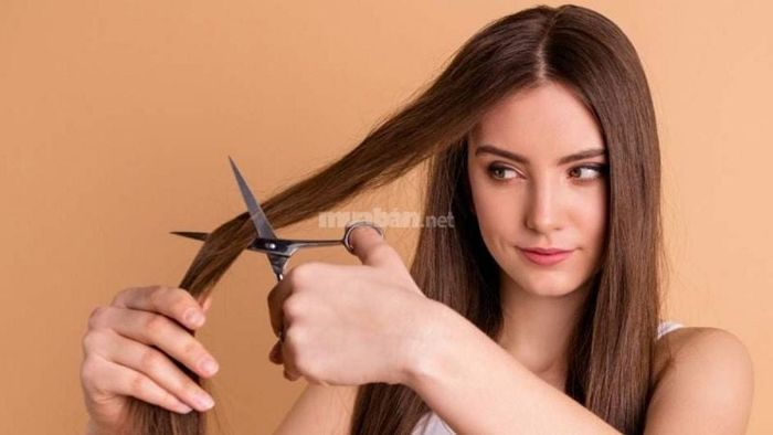 Lịch cắt tóc tháng 4 năm 2025: Chọn ngày phù hợp cho tóc đẹp