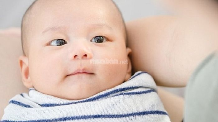 Di truyền chính là nguyên nhân phổ biến gây nên mắt một mí.