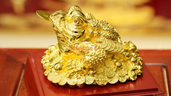 5 vị trí lý tưởng để đặt cóc ngậm tiền trong không gian sống, mang lại tài lộc dồi dào
