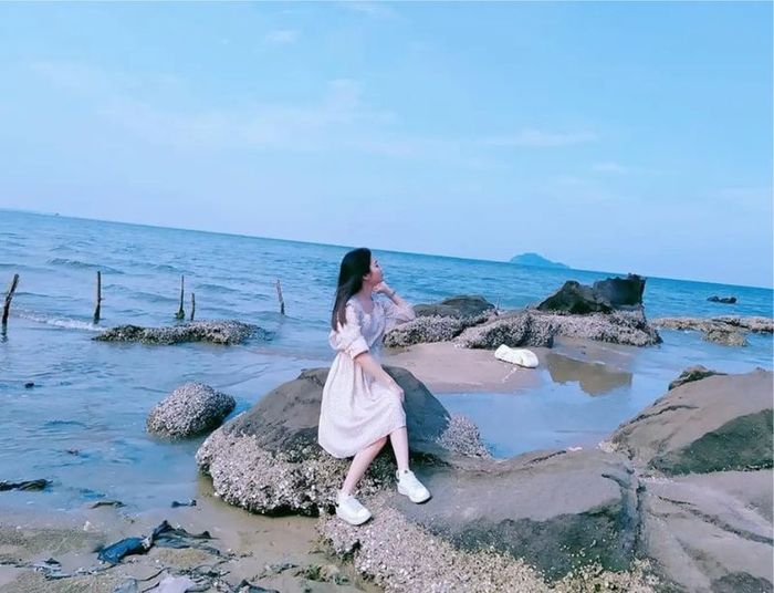 Biển Hải Tiến, một thiên đường biển hoang sơ và tĩnh lặng nằm tại Thanh Hóa, luôn thu hút du khách với vẻ đẹp nguyên sơ.
