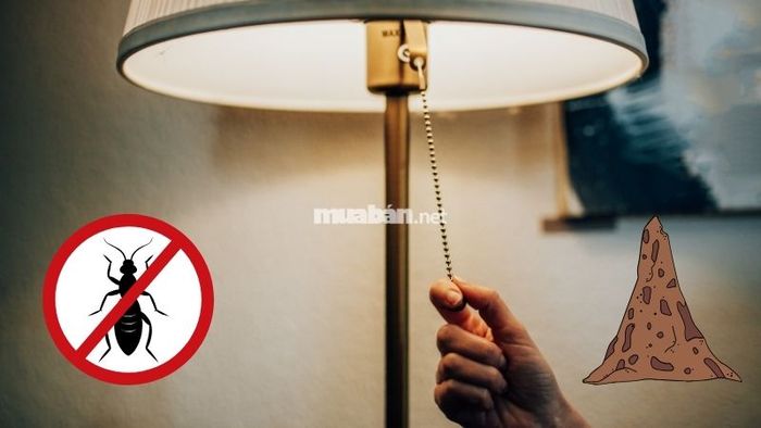 Tắt đèn trong nhà là cách đơn giản nhưng hiệu quả để hạn chế mối bay vào