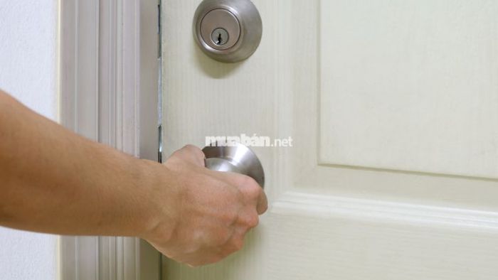 Đóng kín các cửa để ngăn mối bay vào nhà