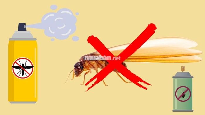 Dùng thuốc xịt côn trùng để tiêu diệt mối bay vào nhà một cách hiệu quả