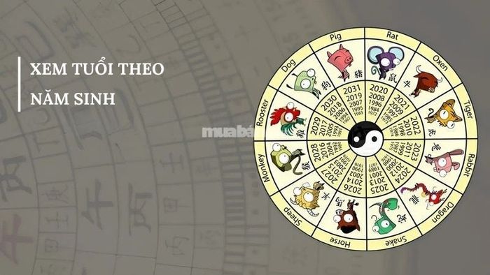 Việc xem tuổi theo năm sinh giúp các bậc phụ huynh lựa chọn thời điểm sinh con sao cho phù hợp với phong thủy gia đình
