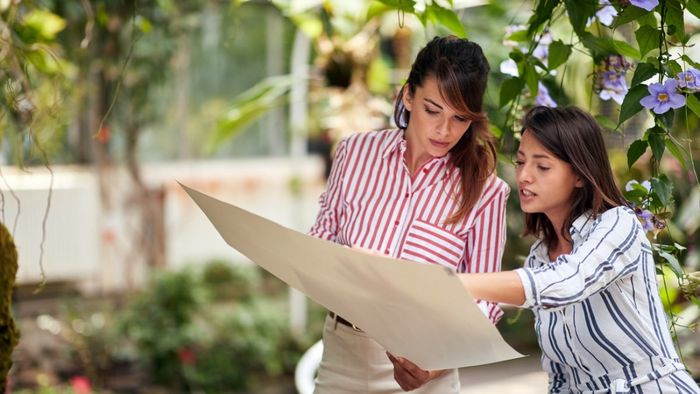 Tư vấn và thiết kế cảnh quan