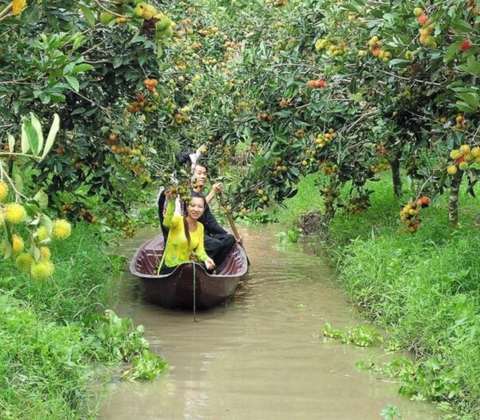 Top 5 vườn sầu riêng Cần Thơ, vừa ăn vừa mê cảnh đẹp miệt vườn 8