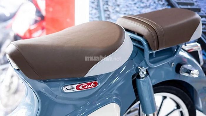 Đệm Urethane với độ dày và khả năng đàn hồi cao giúp người ngồi cảm thấy thoải mái suốt hành trình