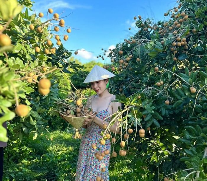 Top 5 vườn sầu riêng Cần Thơ, vừa ăn sầu riêng vừa chìm đắm trong cảnh sắc miệt vườn 5
