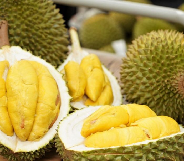 Top 5 vườn sầu riêng Cần Thơ, vừa thưởng thức hương vị tuyệt hảo vừa đắm mình trong vẻ đẹp miệt vườn 3