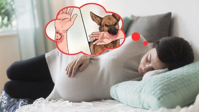 Bà bầu mơ thấy chó cắn là lời cảnh báo về sự lo lắng