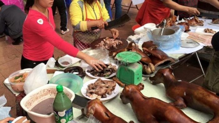 Mộng thấy ăn thịt chó