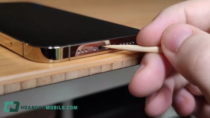 ve-sinh-loa-iphone-07