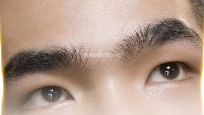Nam giới có dáng lông mày dựng ngược