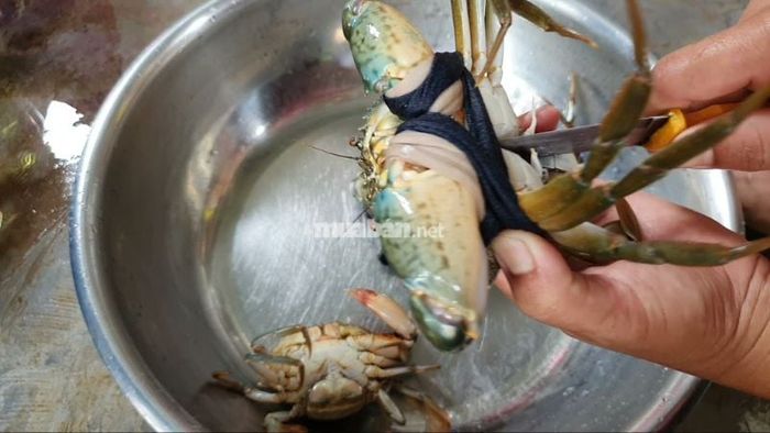 Mơ thấy giết cua