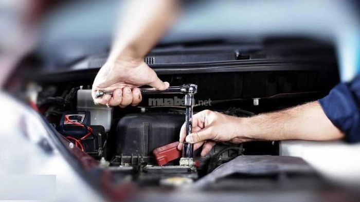 Kiểm tra mức dầu hộp số, lọc xăng, nước làm mát, dầu phanh, nước rửa kính