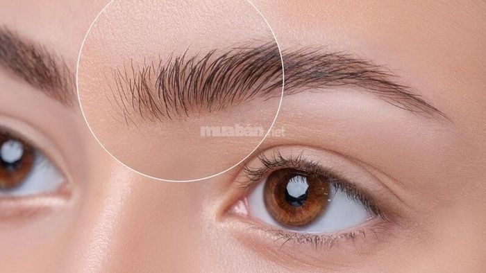Kiểu lông mày dựng ngược ở đầu chân mày