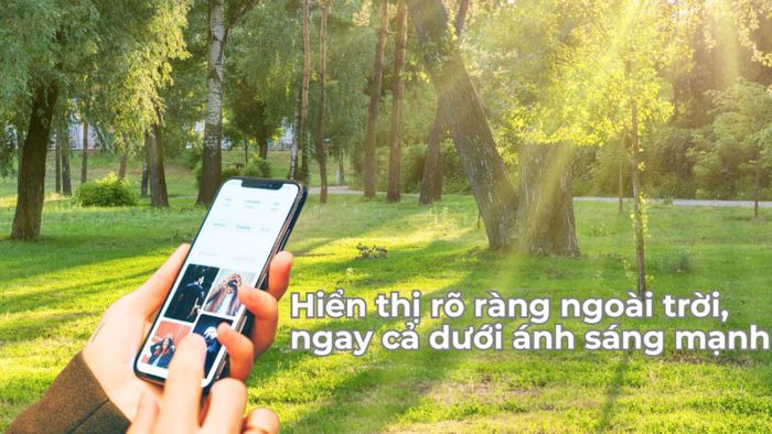 NIT là gì - Tìm hiểu vai trò của NIT
